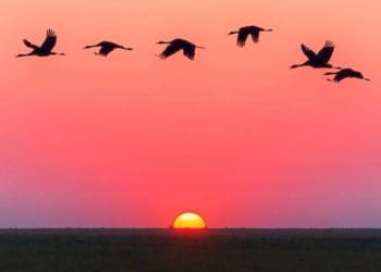 Budak Nabi, Fenomena Sunrise dan Sunset, Surat Ad-Duha, Surat Asy-Syams,