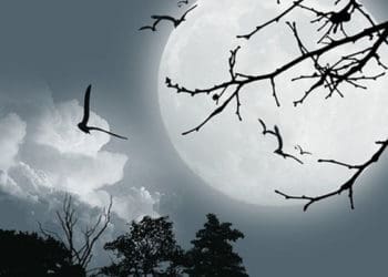 Akibat Tidak Percaya Akhirat