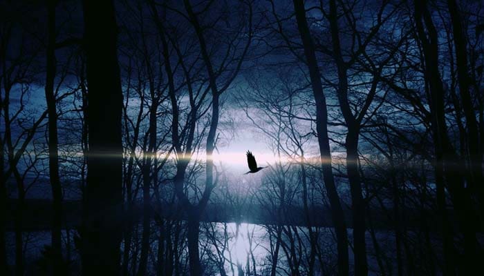 Orang yang Paling Mengerikan Siksa Kuburnya 1 Foto: Pexels