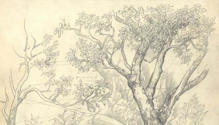 Nabi Daud dan Seekor Cacing yang Senantiasa Bertasbih pada Allah 1 Foto: Sulis Fine Art