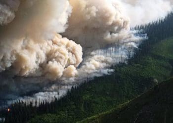 Ilustrasi. Foto: grandforksgazette