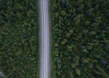 Ilustrasi Foto: Unsplash
