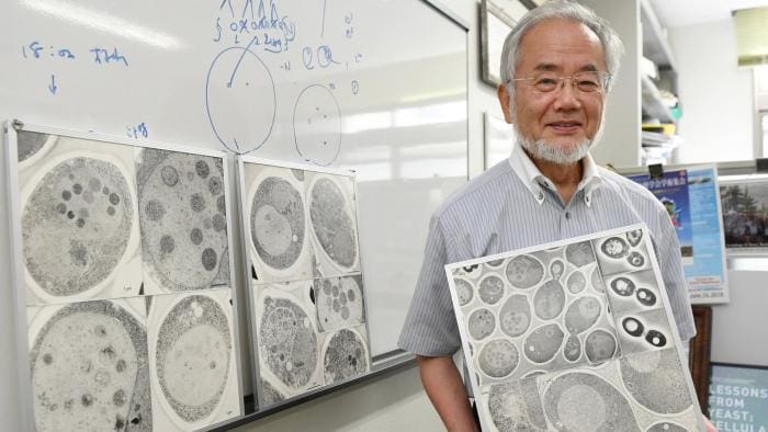 Peraih Nobel Kedokteran Ungkap Fakta Mengejutkan Puasa 1 Yoshinori Ohsumi, peraih Nobel di bidang Ilmu Fisiologi atau Kedokteran. Foto: NY Times