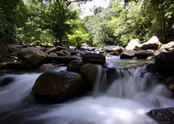 lingkungan Amal Ibadah, Air di Surga, Cara Istighfar Nabi, Hukum Keluar Madzi ketika Puasa