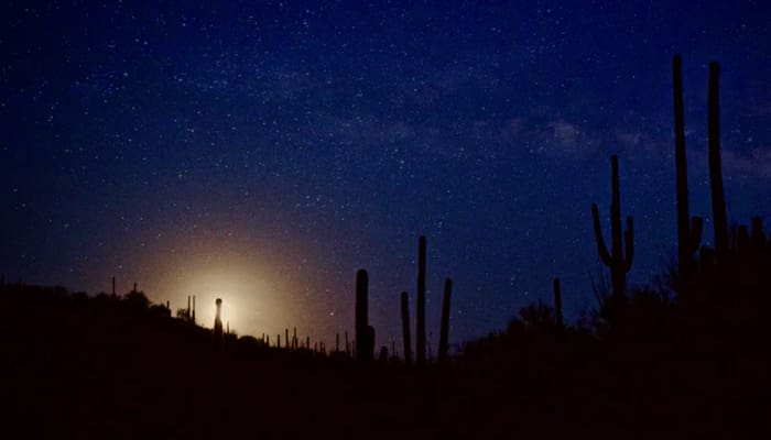 Siksa Kubur, Ini Dia Penyebabnya 1 Foto: Unsplash