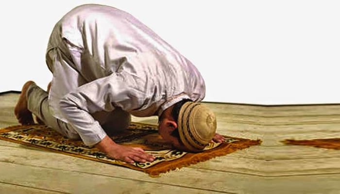 Cara Sujud yang Dicontohkan Nabi ﷺ 3 Cara Sujud yang Dicontohkan Nabi
