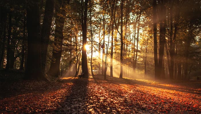 Tak Terbayang di Dunia dan oleh Manusia, Inilah 10 Kenikmatan Surga Adn 2 Sejarah Hari Jumat, Surga Firdaus, Penghuni Surga Paling Akhir, Penghalang Masuk Surga, Kelebihan Surga,