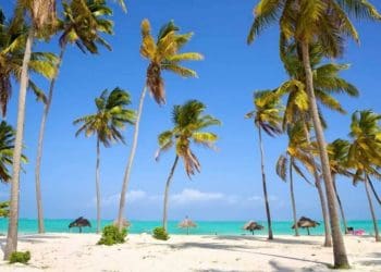 Panorama Zanzibar. Foto:  Easy Travel