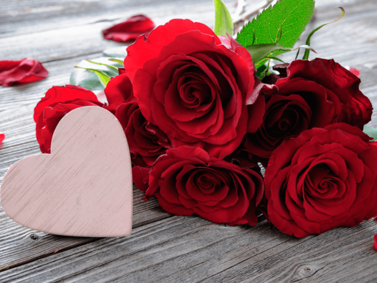 Fatimah bintu Rasulullah, Kesucian Menjaga Aurat dari yang Bukan Mahram 1 Ilustrasi. Foto: Times of India