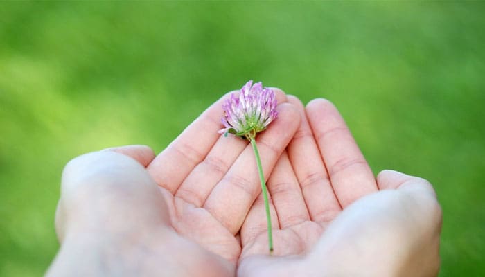 10 Nasihat Rasulullah untuk Muslimah 4 yatim mandiri, Nasihat Rasulullah untuk Muslimah