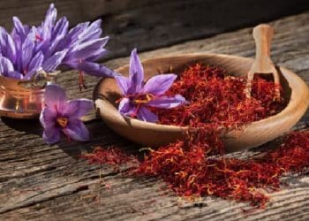 Ilustrasi. Foto: Canva