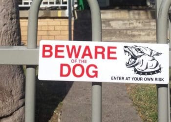 Bahaya air liur anjing. Foto: ABC