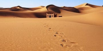 Ilustrasi. Foto: Microsoft Store