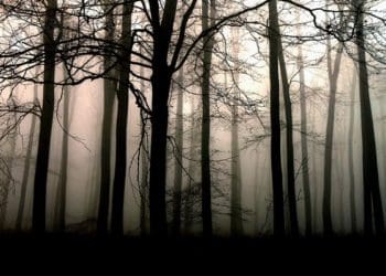 ilustrasi.foto: pixabay