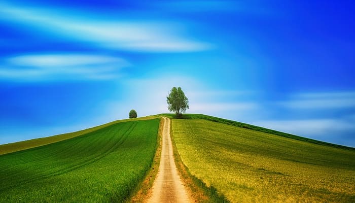 Perjumpaan dan Perpisahan Orang-orang Shalih 1 Foto: Pixabay