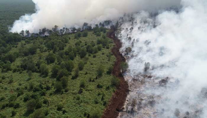6 Efek Buruk Dampak Asap Kebakaran Hutan 1 Foto: Okezone