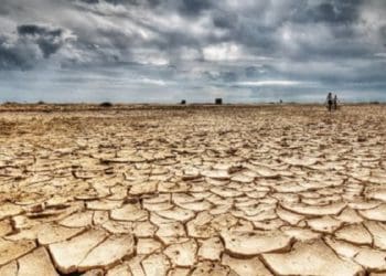 Ilustrasi. Foto: Minanews