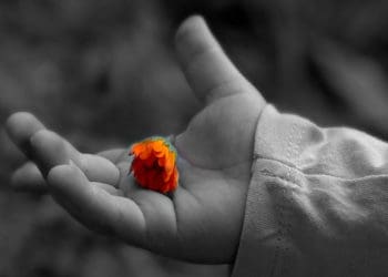 Dosa di Kepala Wanita, Hukum Parfum Beralkohol