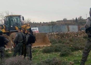 Pemukim Yahudi gali tanah Palestina. Foto: PIC