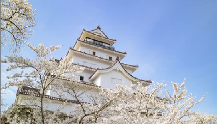 2 Destinasi Wisata Ramah Muslim di Jepang, Ada Apa di Tokyo dan Kyoto? 1 Ilustrasi. Foto: Instagram Visitjapanjp