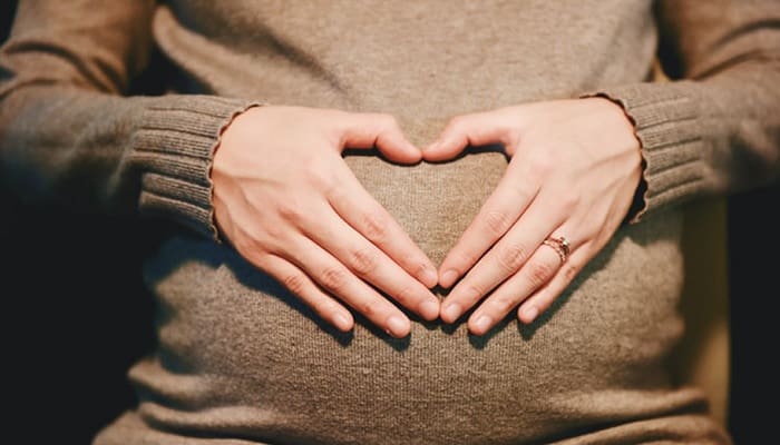 Alquran dan Sains Ungkap 3 Fase Perkembangan Janin dalam Rahim 1 sewa rahim, ibu pengganti, surrogate mother, janin usia 4 bulan,