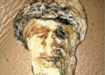 Kerang mirip wajah Osama bin Laden menarik penasaran banyak orang. Foto: Mirror
