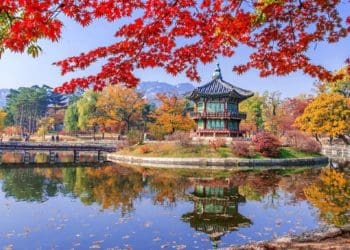 ilustrasi.foto: duniaku