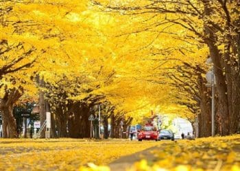 ilustrasi.foto: tempat wisata unik