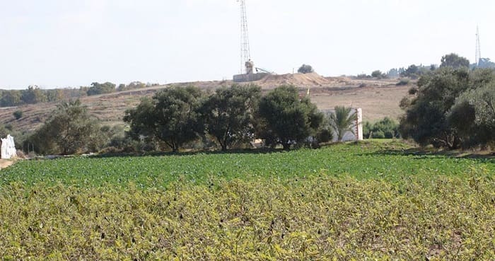 Israel Semprotkan Zat Kimia Berbahaya di Perbatasan Gaza 1 Perbatasan Gaza. Foto: PIC