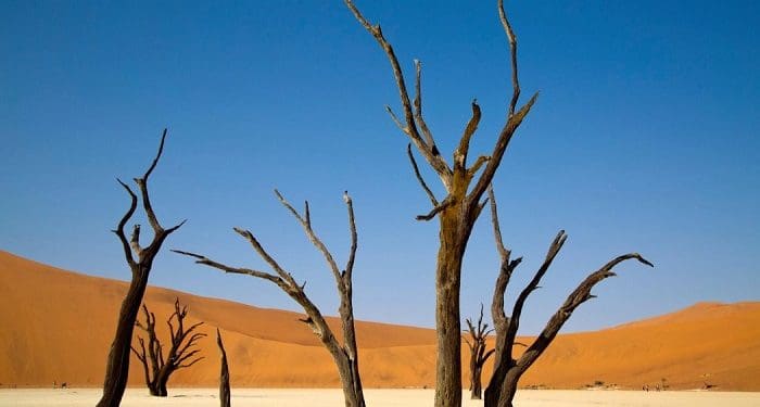 4 Balasan bagi Orang yang Suka Mengumbar Aib 2 kering