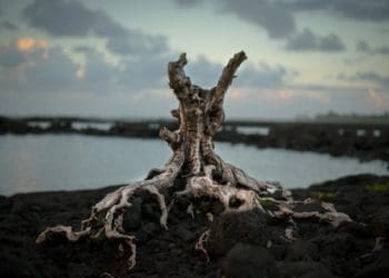 ilustrasi. Foto: Unsplash