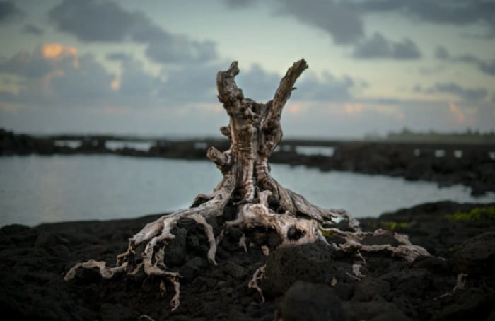 Ketika Manusia Berbaring di dalam Kuburnya 1 ilustrasi. Foto: Unsplash