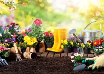 Ilustrasi. Foto: burnabynow