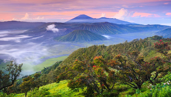 Masuk Surga Tanpa Hisab 1 Foto: journal sosiolla