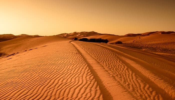 5 Tuntunan Rasulullah ﷺ Saat Melakukan Perjalanan 1 Foto: Pixabay