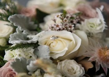 ilustrasi.foto: Pixabay