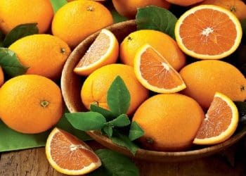 Ilustrasi. Foto: ansexports