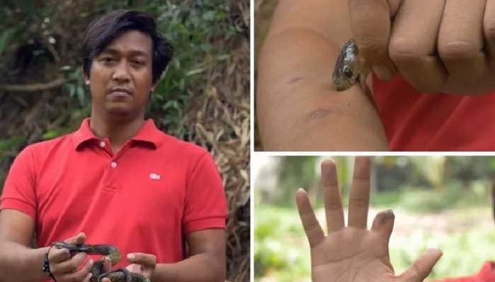 Inilah Orang yang Kebal dari Bisa Ular Kobra 1 Foto: Ist