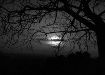 Ilustrasi. Foto: weneedfun