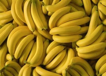 Ilustrasi. Foto: NPR