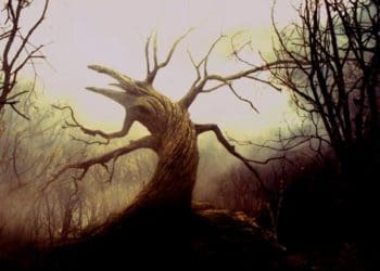 Gambar hanya ilustrasi. Foto: Fanpop