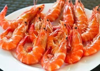 Ilustrasi. Foto: Okezone