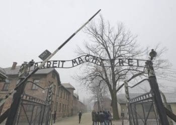 Ilustrasi. Foto:
The Parliament Magazine