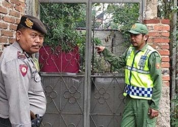Makam Lina dibongkar. Foto: Dony/detikcom