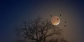 Sifat Mustahil Allah SWT, Rahasia Langit dan Bulan, Tanda-tanda Lailatul Qadar, Ciri Malam Lailatul Qadar