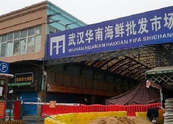 Ilustrasi. Foto: 
Daily Mail