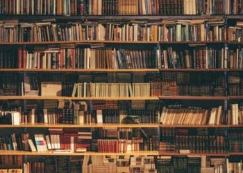 Ilustrasi: Unsplash