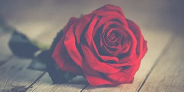 amalan wanita haid Larangan bagi Perempuan Haid atau Nifas, Perempuan Haid, Hukum Menggauli Istri sedang Haid,, Flek Saat Hamil, , Larangan Saat Haid, Amalan yang dapat Dilakukan saat Haid, zina, Masa Haid Seorang Wanita, Ini Hukum Aborsi dalam Islam, Zina di Akhir Zaman, Wanita yang Berbuka karena Haid, Cara Membersihkan Kain Terkena Darah Haid,Cara Mengetahui Selesainya Haid, Cara Mengetahui Selesainya Haid, Warna Darah Haid,Masa Haid Wanita, Istilah Haid dalam Islam