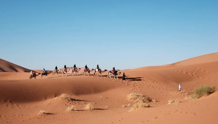 Umat Muhammad, Umat Akhir Zaman yang Dimuliakan Allah 1 Nabi dan orang badui Kisah Umar bin Khattab, Sifat Para Sahabat Nabi, Hijrah