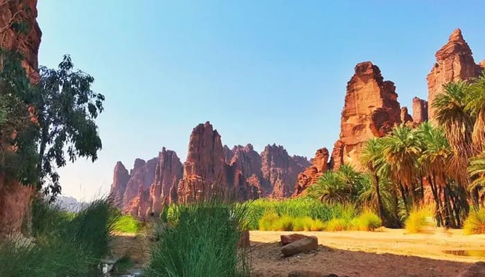 Dahulu, Jazirah Arab Padang Rumput, Ilmuwan Buktikan Kebenaran Rasulullah 1 Sebagian Wilayah Tanah Arab Menghijau